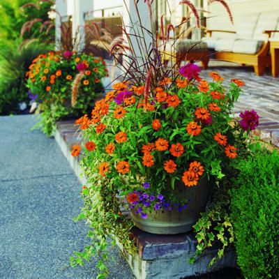 39 cool container gardens  Beautiful container plantings for your deck, entryway, or