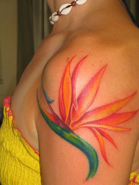 Bird of Paradise tattoo by fuquazi808, via