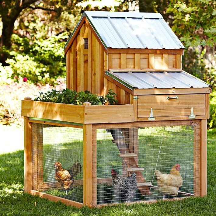 Chicken Coop. I would make their yard a wee bit bigger, but this is a perfect chicken