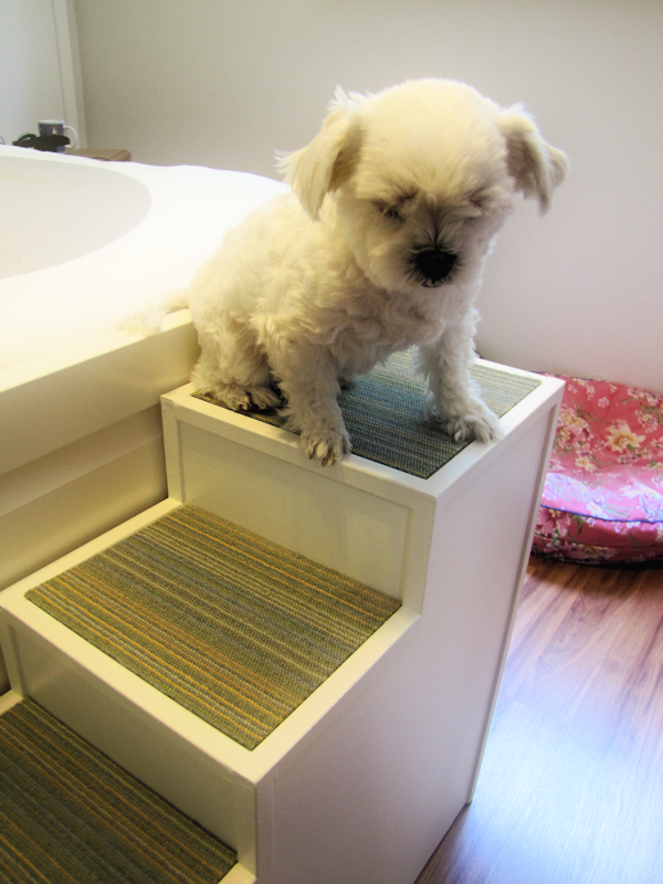 DIY Pet Stairs — This is what I need for Lily. Now that my sweet lil kitty is 14 years old, she needs a little extra