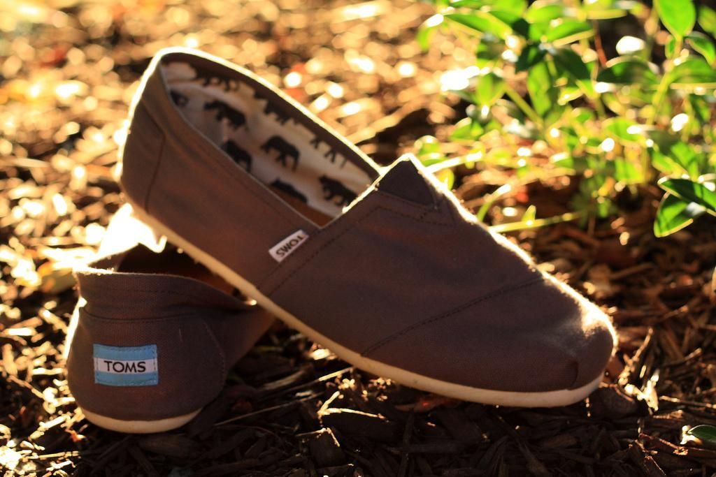 Fashion trends|Street style|2015 Cheap Toms Shoes Outlet For USA. Buy Cheap TOMS Shoes Factory Outlet Online Store 78%