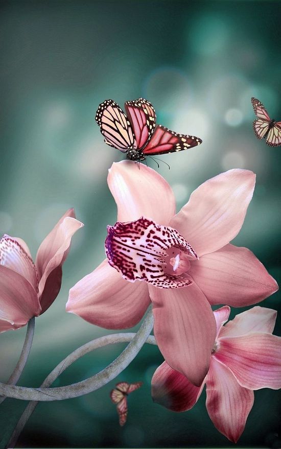 Gorgeous Flowers Garden Love :