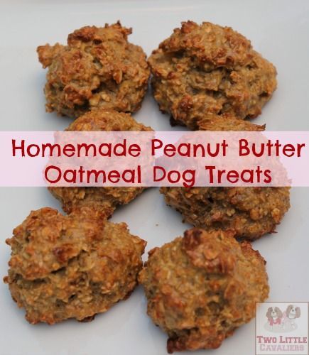 Homemade Peanut Butter Oatmeal Dog Treats 1/2 c. Oatmeal 1T. Peanut butter 1/2T. Water 1 large egg 1/8 t. Cinnamon 1/2 t. Honey Preheat oven to 350 degrees  Mix all ingredients together making sure