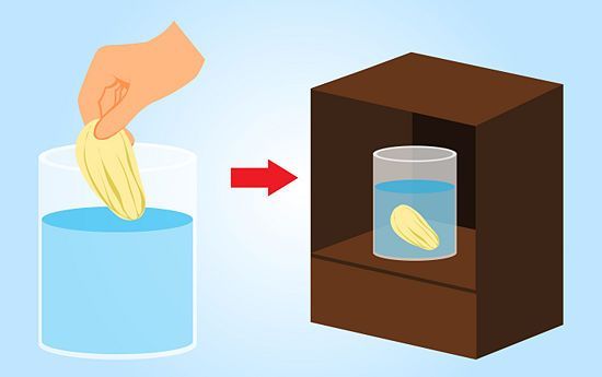How to grow a mango from th