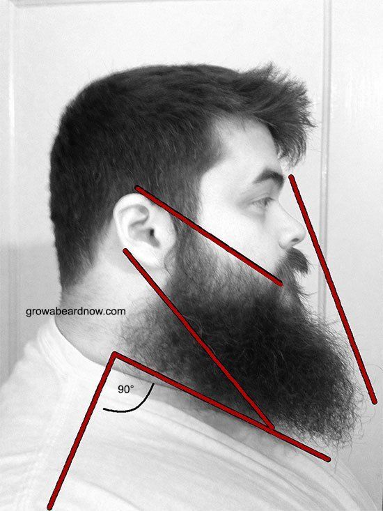 How to trip a beard – follow these guide