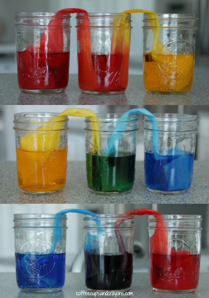 Learn about absorption and how water moves with the dynamic “Walking Water Science Experiment for Kids” via Coffee Cups and
