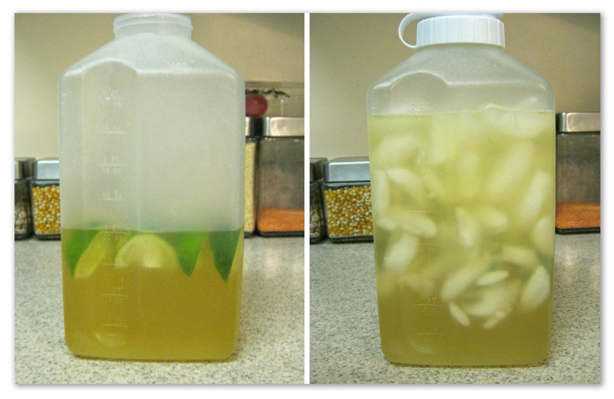 Lime Green Tea Detox Drink. Brew green tea bags in hot water. Add lime juice. Add honey (optional). Top off with ice and