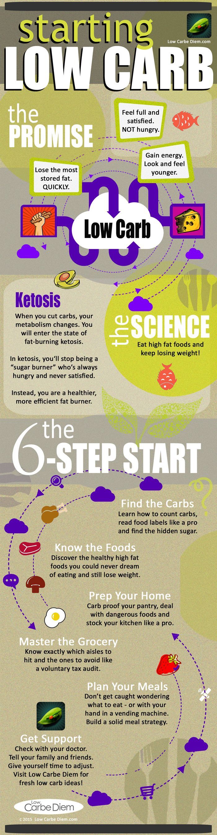 Low Carb Infographic. How to start a low carb diet: The Promises. The Science. The Simple 6-Step Start.