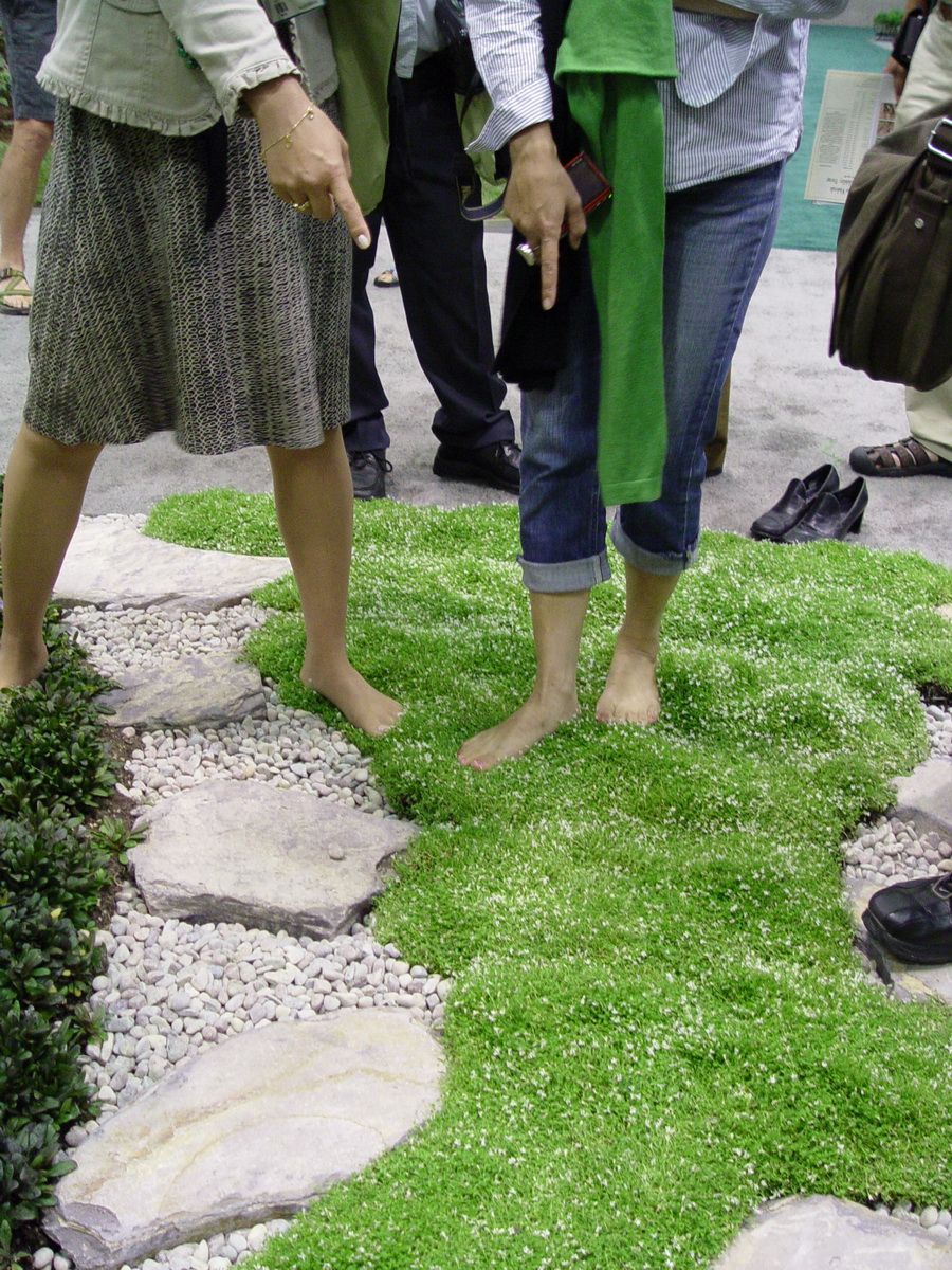 Stepables, a grassy replace