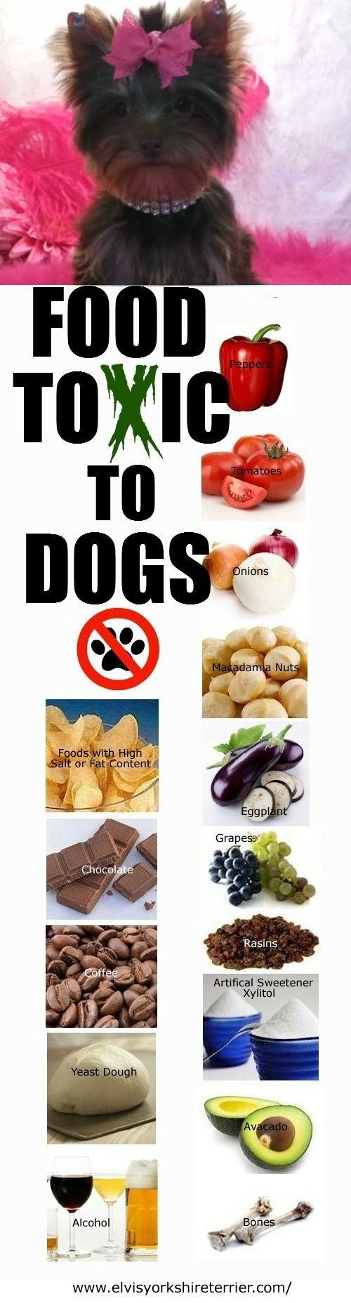 These foods are TOXIC to do
