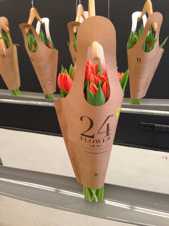 tulipa Beautiful Examples o