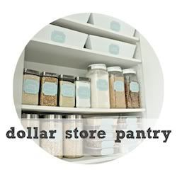 YES!!! Dollar store pantry