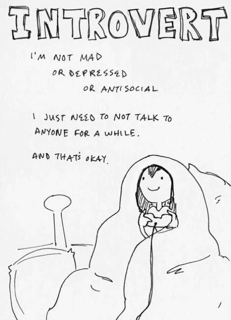 27 things only INTROVERTS w