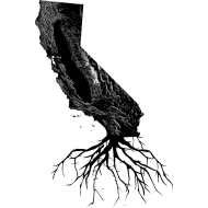 California roots. Cool tattoo