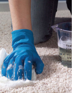 Carpet Stain Remover: Baking Soda, White Vinegar, Dawn, and 3% Hydrogen