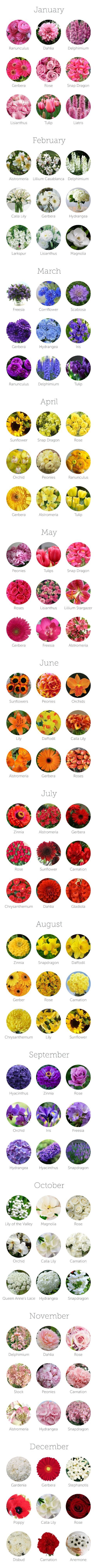 Flowers Available By Season