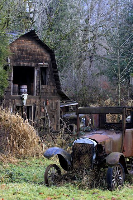 Forgotten? Derelict Machinery / I like this photograph. There is a mellowness to it. Times gone