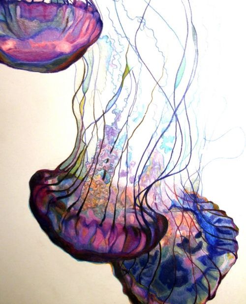 Jellyfish. My irrational fe