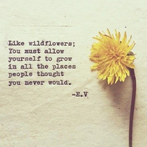 Like wildflowers, you must allow yourself to grow in all the places people thought you never
