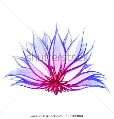 “Lotus Flower Paintings” probably the best lotus flower Ive seen