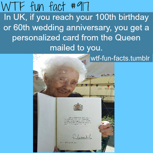MORE OF WTF-FUN-FACTS are coming HERE  funny and weird facts