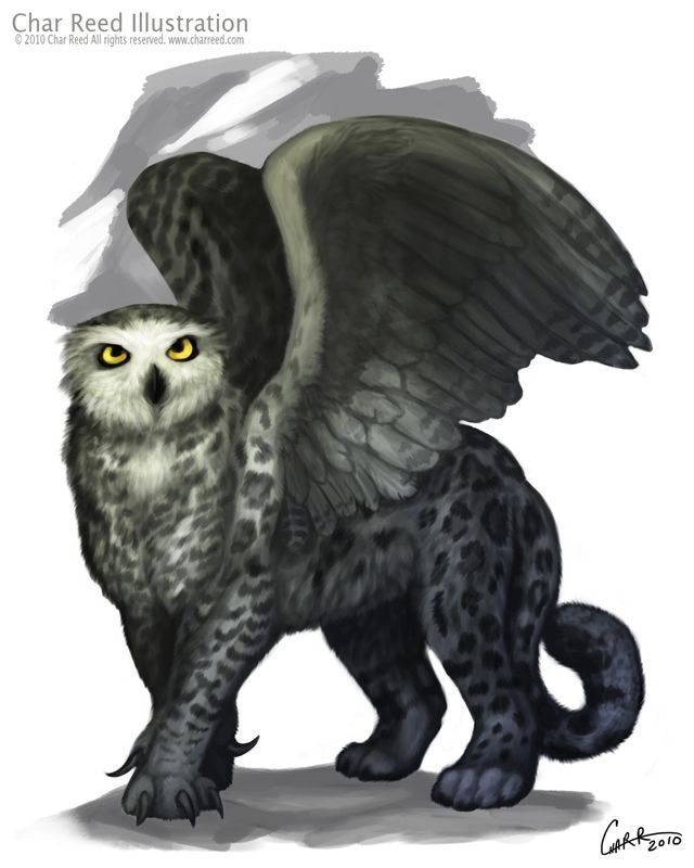 Mountain Gryphon- an owl! i