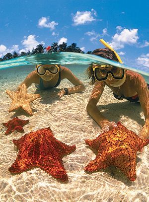 Starfish Beach – Grand Caym