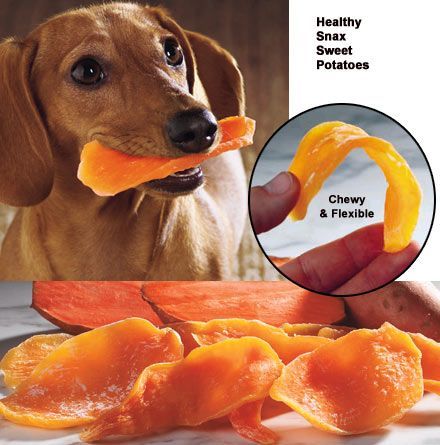 Sweet potato chews for dogs