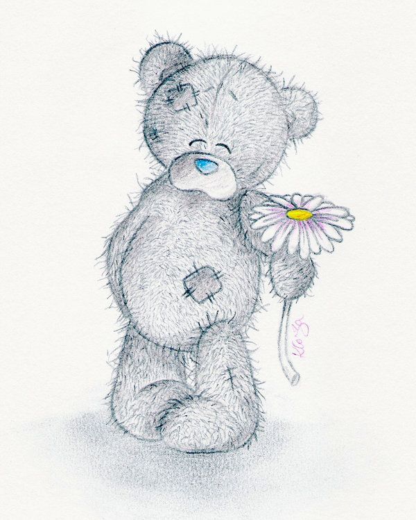 Teddy Bear Drawings | Tatty