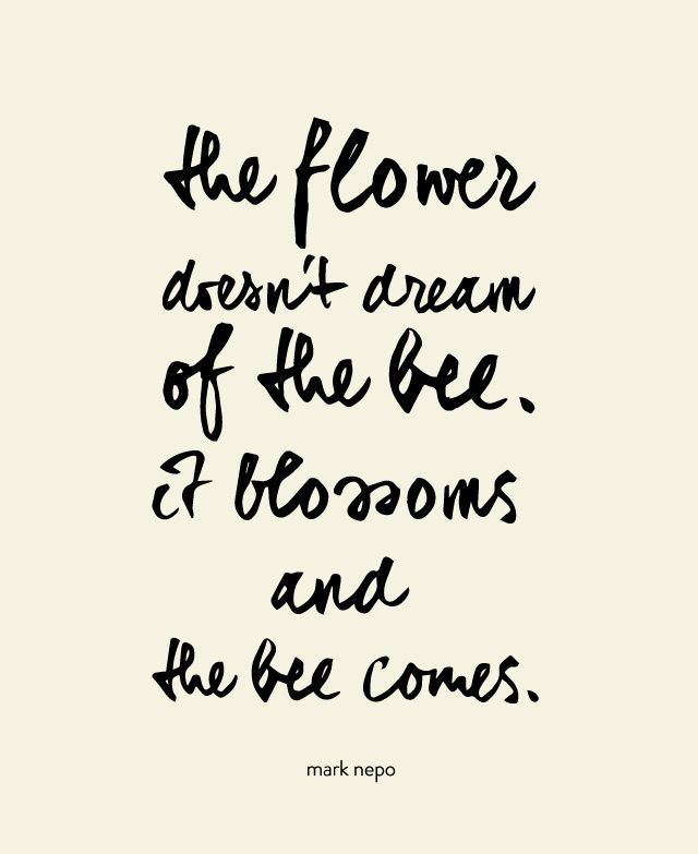 The flower doesnt dream of the bee, it blossoms and the bee comes. #relations #independence