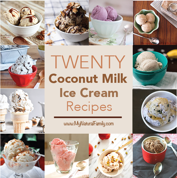 20 of the Best Coconut Milk Ice Cream Recipes Substitute Honey for Agave and Sugar in recipes for GAPS SCD PALEO