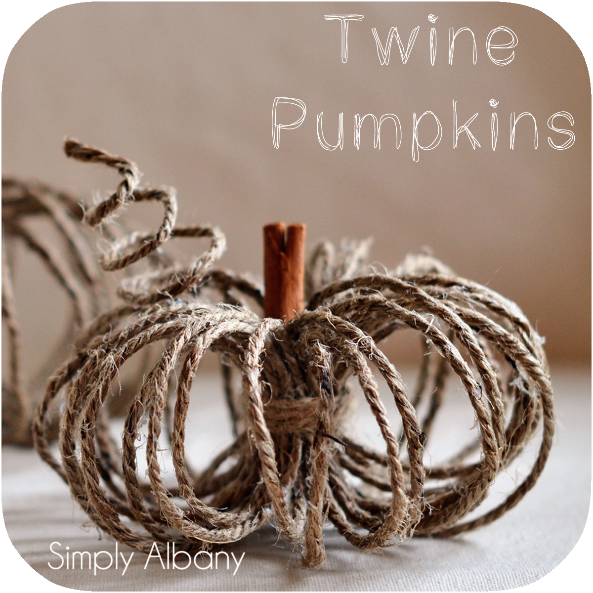 adorable! Can use wire instead of twine for this too! *note to self: look for orange wire