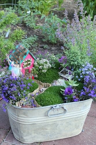Amazing Garden Ideas: Creative Flower Pots! mini garden idea (maybe I could do this with some of my bird houses