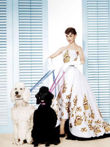 Audrey Hepburn in the couture dress from the Movie – Sabrina. Controversy around who designed the dress: Givenchy or famed costume