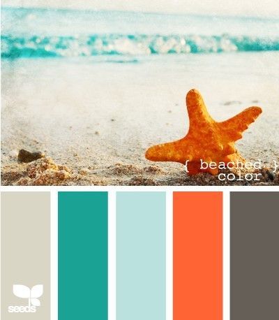 beach theme color pallette. this is the exact pallette im using in our master bedroom!