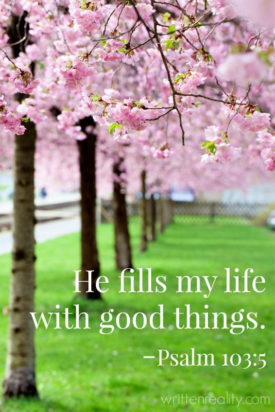 Celebrate this Spring thanking God for all His goodness! Every good thing is attached to our Creator.