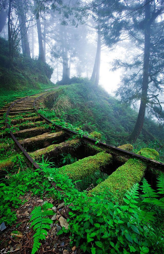 click through for 33 more breathtaking and incredible photos of abandoned places- this is the Jiancing Historic Trail in