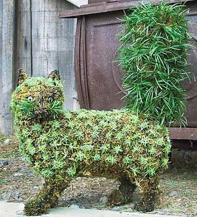 Fancy Cat Topiary–just plant any small-leaved ivy at the base of this moss-filled topiary frame, and grow your own spectacular