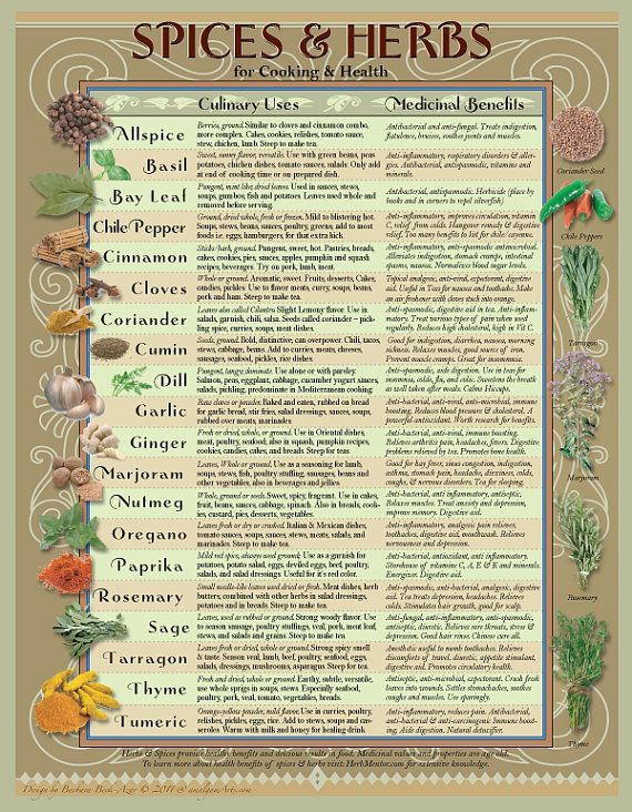 Healing Herbs and Spices Chart for the kitchen by AmalgamARTS, ON SALE : $3.50 for hi-Res downloadable art. Instructions included.