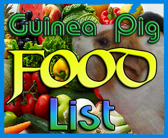Here is the ultimate guinea pig food list. See which foods are safe for guinea pigs and which are not.