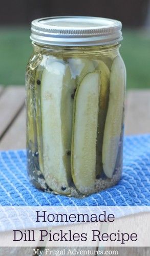 How to Make Homemade Dill Pickles- so easy and so delicious!