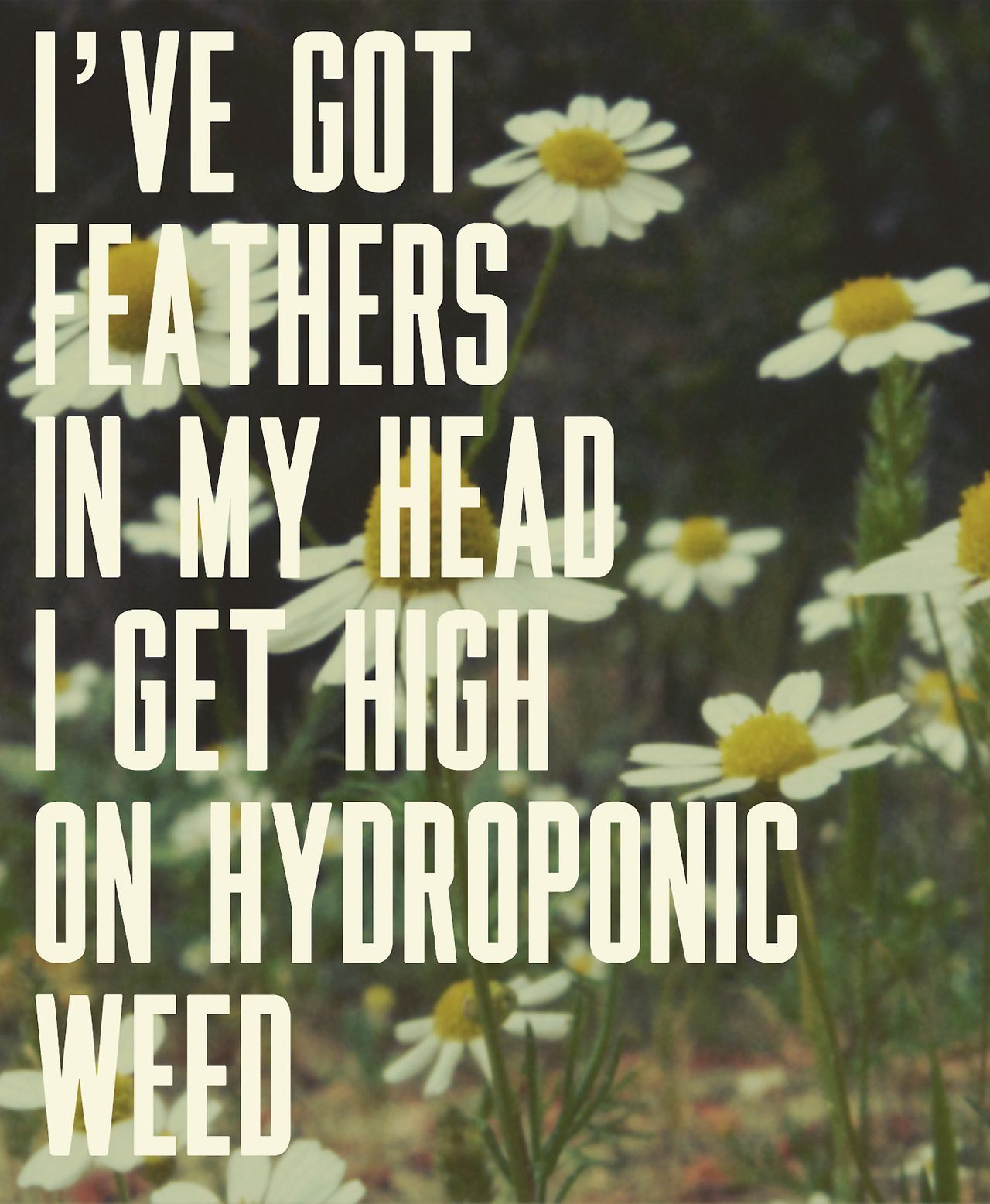Lana Del Rey – Brooklyn Baby _ Ive got feathers in my hair. I get high on hydroponic weed.