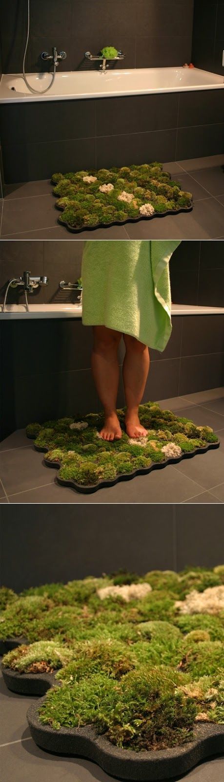 Moss Bathroom Mats : They don’t need dirt, just water and if they dry, they can live again just by being watered again. Each