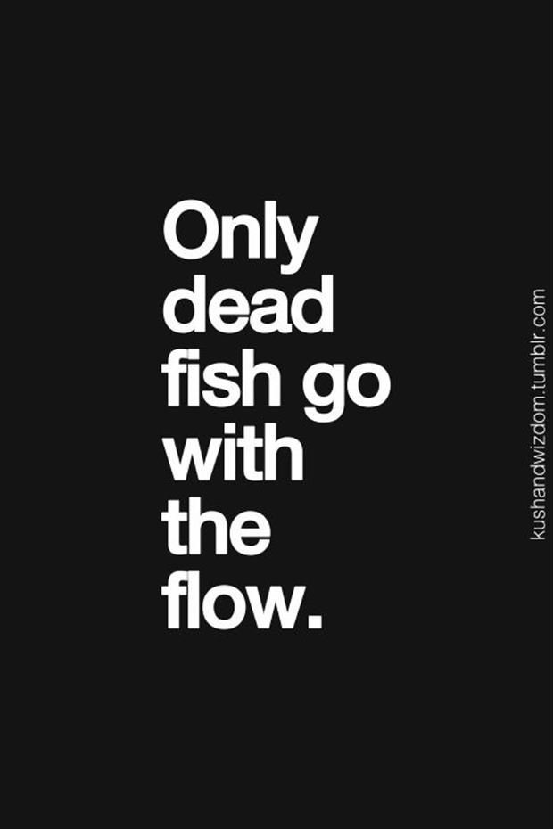 “Only dead fish go with the flow.” Pretty sure thats not true, but sometimes going with the flow is the worst thing you can do…