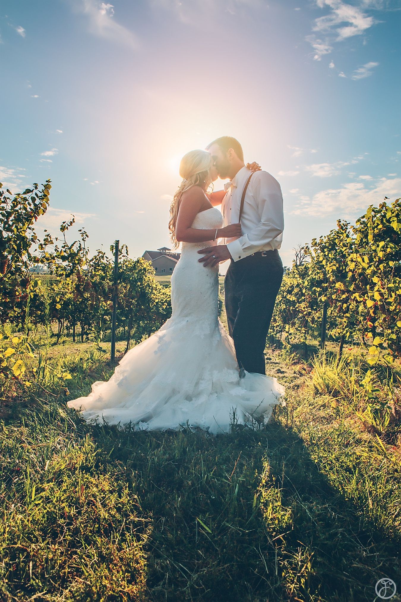 outdoor winery wedding photos in the vinyards