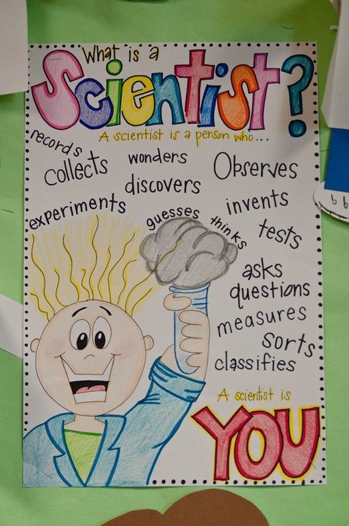 Science bulletin boards for kindergarten