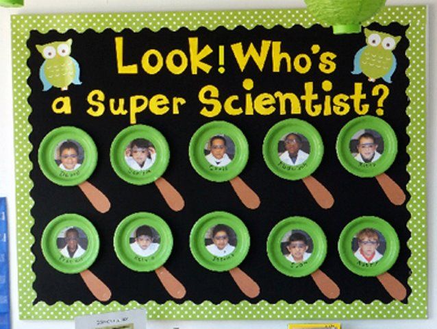 Science bulletin boards for kindergarten