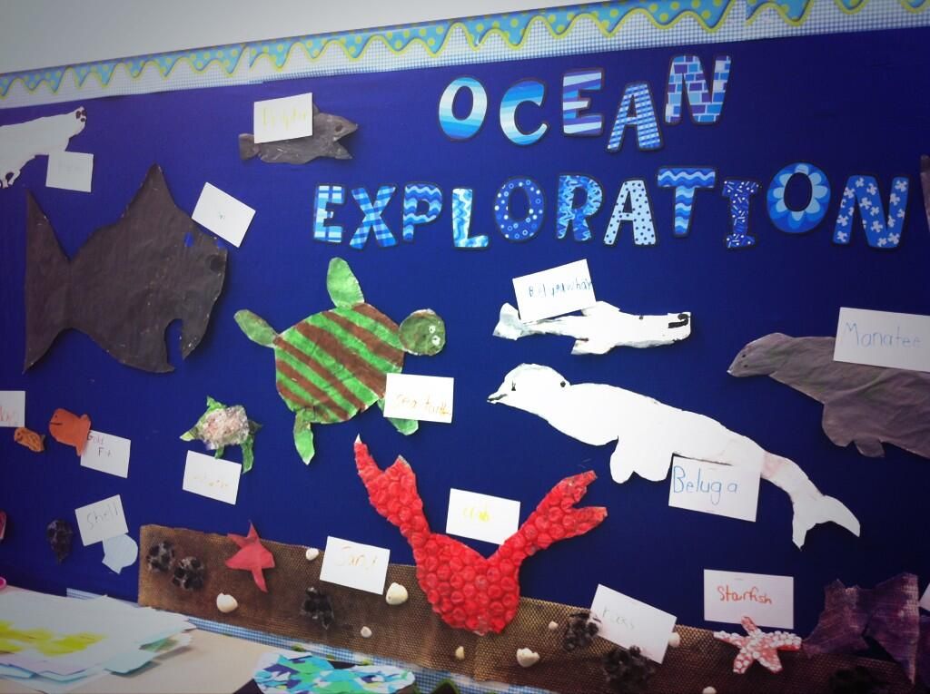 Ocean Exploration Science Bulletin Board -   Science bulletin boards for kindergarten