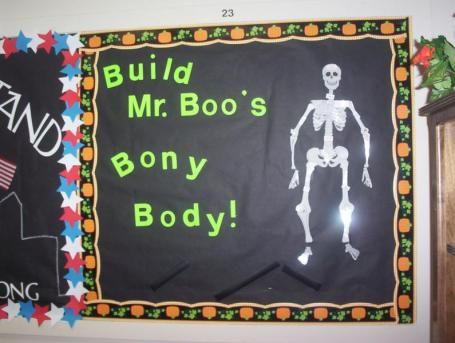 Build A Skeleton Science Bulletin Board -   Science bulletin boards for kindergarten