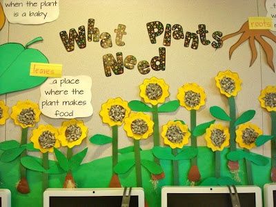 What Plants Need Science Bulletin Board -   Science bulletin boards for kindergarten